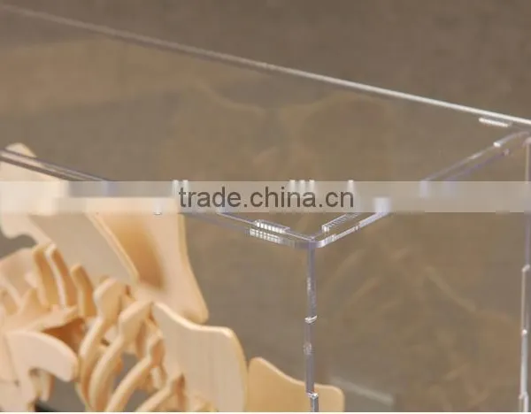 Custom Acrylic Display Toy Plastic Box photo-2