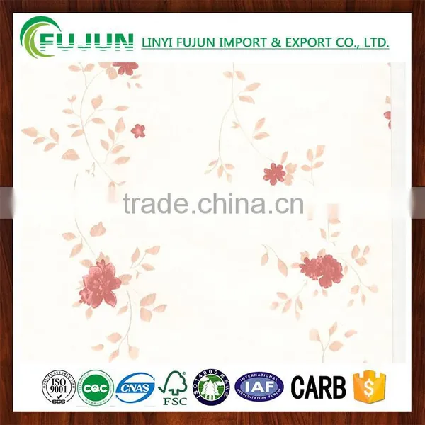 Melamine Film Paper for Partical Board Good Pirce and Quality photo-5