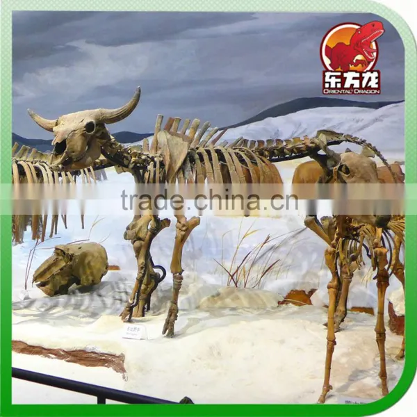 The Animal Skeleton Model