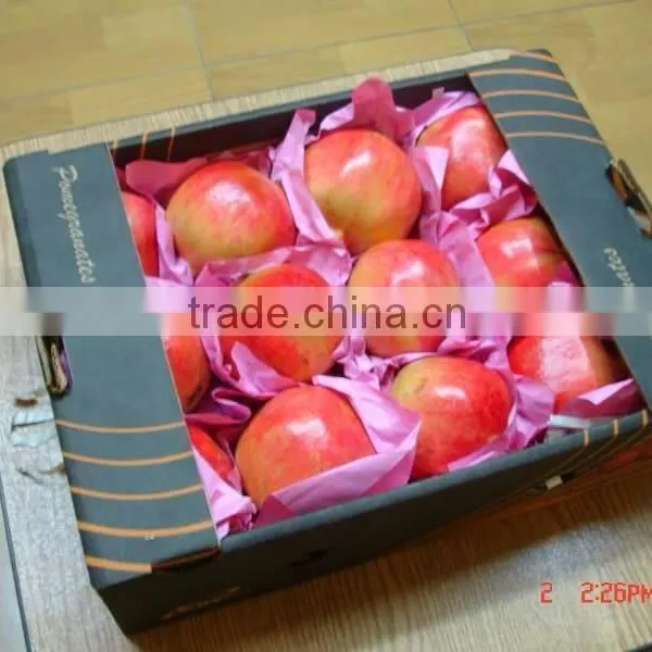 Fresh Pomegranate photo-5