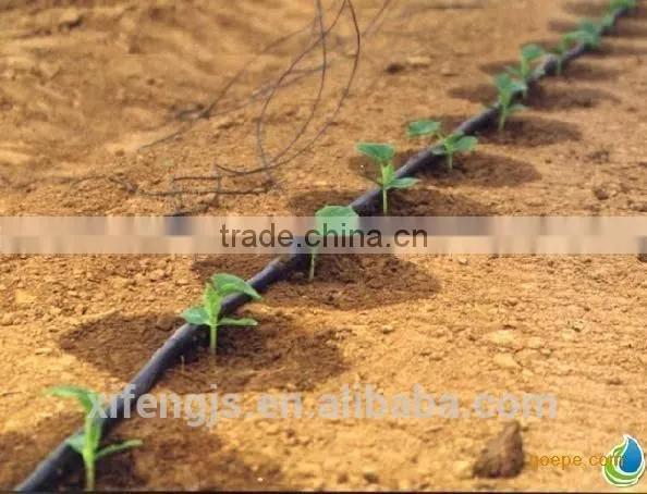Integral Drip Tape/drip Line/irrigation Tape/ PE Material/XIFENG IRRIHOSE BRAND Drip Tape