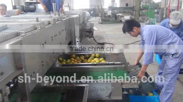 Fruit Grading Machine