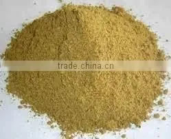 Fish Meal