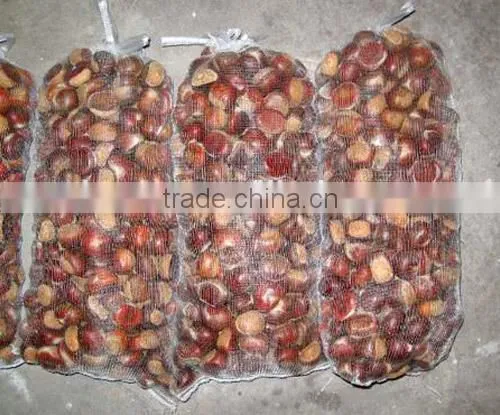 New Crop Chestnut 2015 photo-2