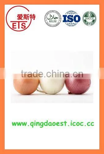 Best Quality Fresh Red/yellow Onion PRODUCTS From China With High Quality photo-4