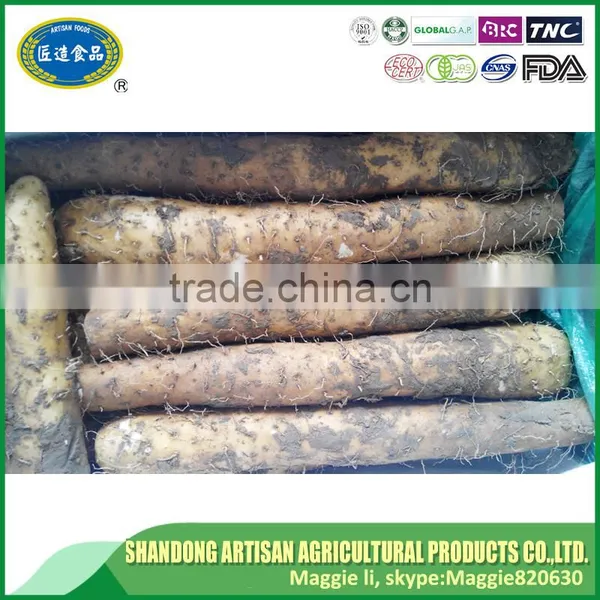 Wild Yam Extract,bulk Yam photo-5