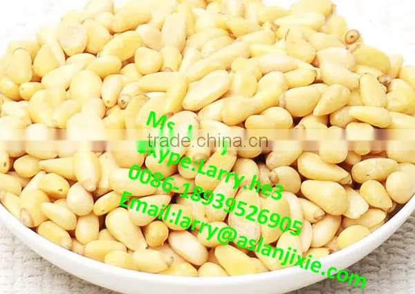 Pine Nuts Skin Removal Machine/pine Nut Kernel Peeler/pine Nuts Skin Removing Machine photo-5
