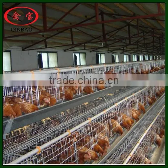 4 Tiers Chicken Layer Cage Layer Cages for Sale Chicken Egg Layer Cages photo-4