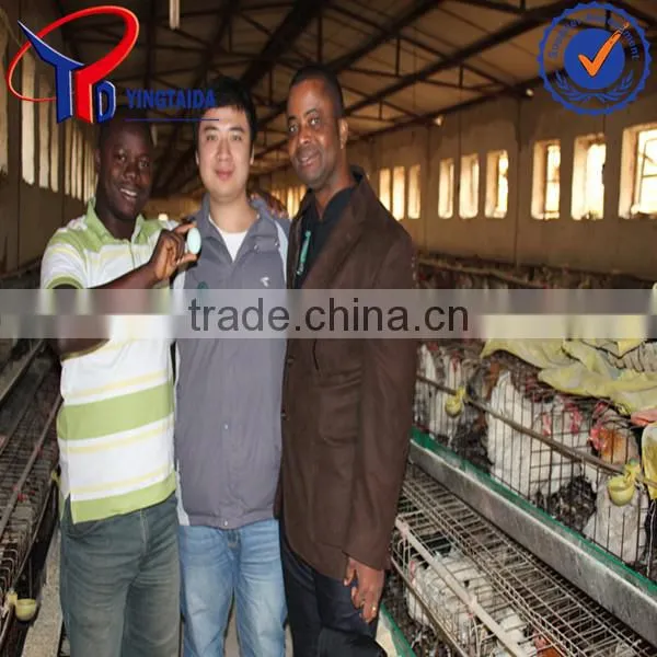 Chiken photo-5