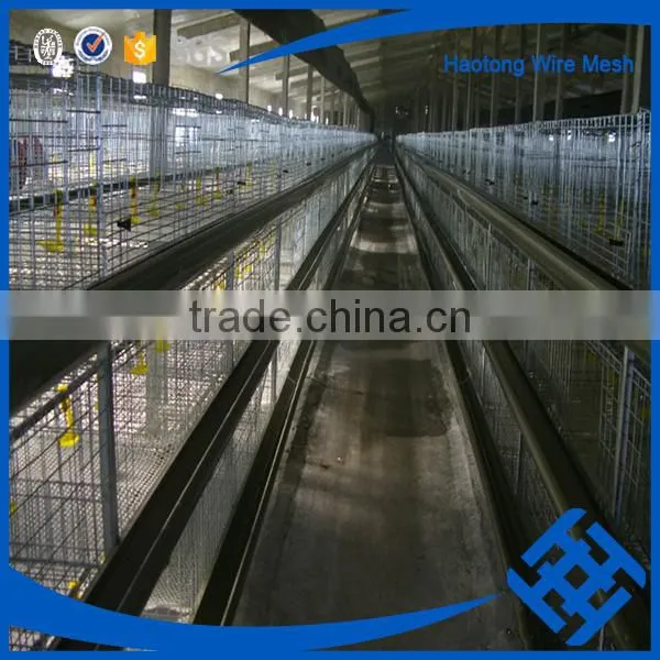 Express Poultry Battery Cage for Nigerian Farm photo-6