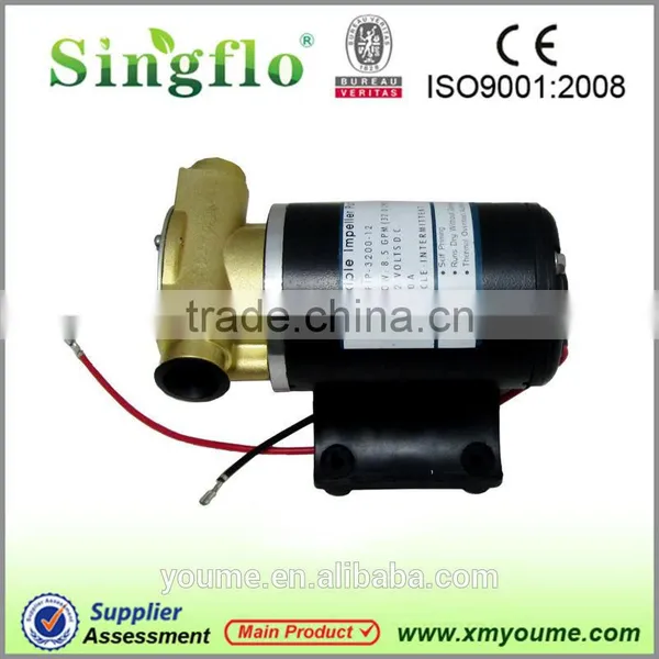 Singflo 24v 12L /min electric engine oil transfer gear pump prices