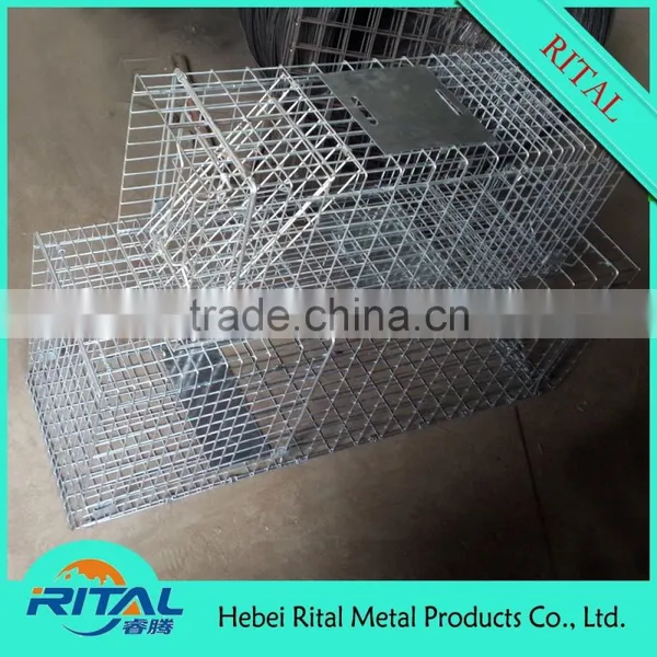 Galvanized Raccoon Cage Traps for Raccoon Trapping photo-5