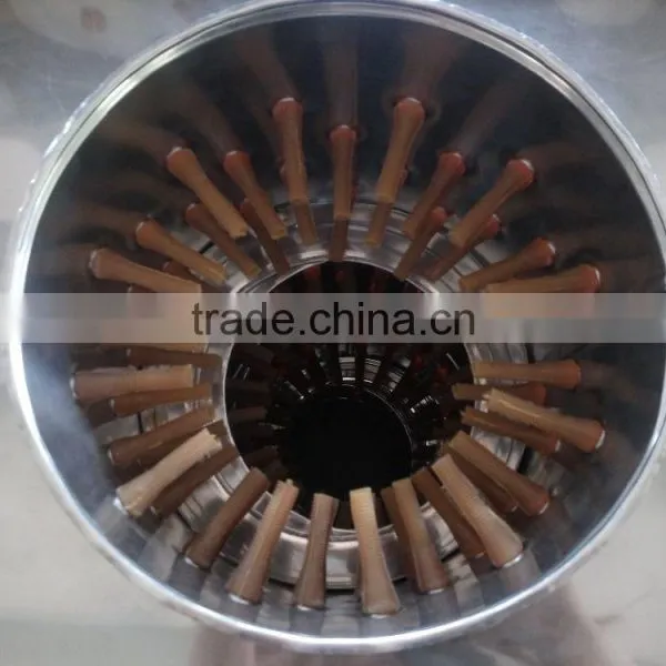 A Series Automatic Chicken Plucker/bird Plucker/quail Plucker HJ-30A photo-2