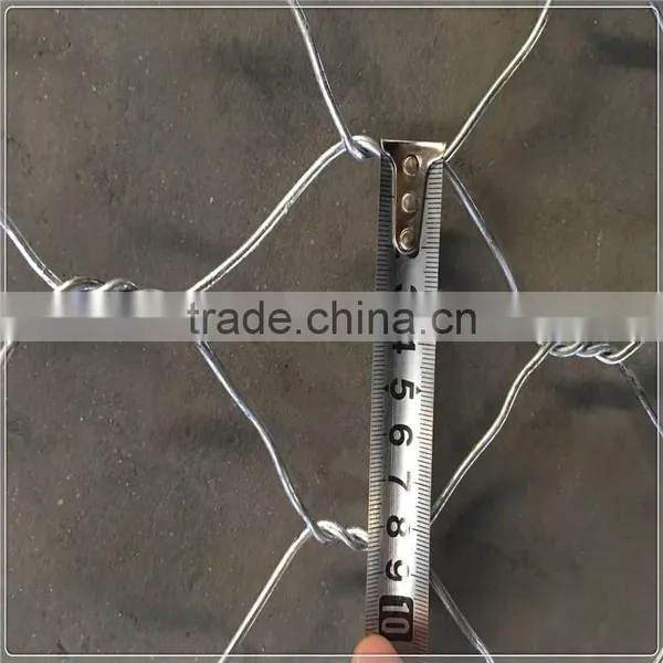 60*80 80*100mm PVC Cpated Gabion Wire Mesh / PVC Coated Gabion Box photo-2