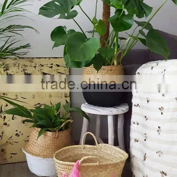 Natural Belly Seagrass Basket / Planter for Home Decoration photo-3