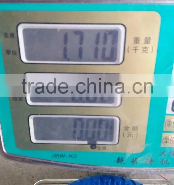 PU 325-8 PU FOAM WHEEL NEW MODEL 325-8 photo-4