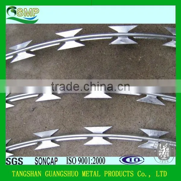Umbrella Head Roofing Nails, Hot Sale Galvanized Roofing Nails photo-4