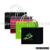 Paper Shopping Bag