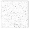 Mineral Fiber Acoustic Ceiling Board--Palmerworm Series