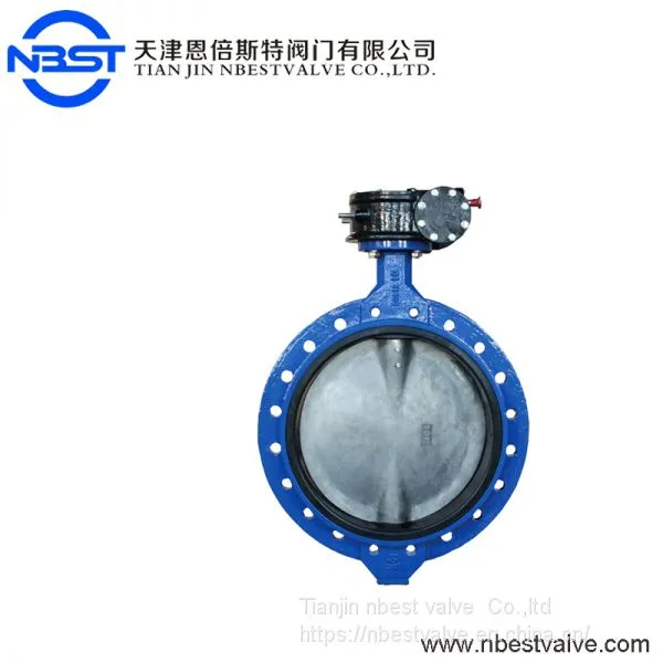 D371XP-10Q Chemical Processing Worm Gear Operated Butterfly Valve Ductile Iron