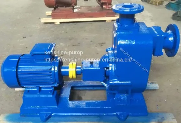 ZW Self Priming Sewage Drainage Pump for Wastewater photo-2