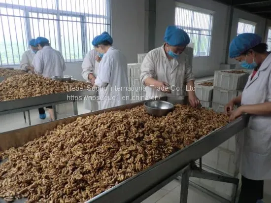 China Aaaa Cheap Quality Walnut Kernel photo-3