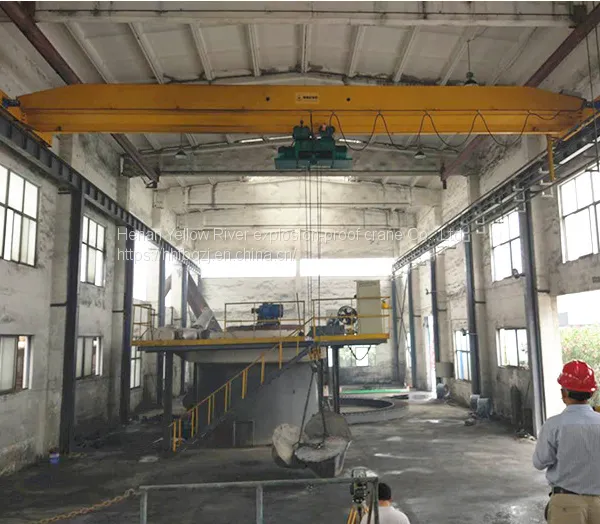 China's High Quality and Low Price 20 Ton Garbage Grab Bridge Double Beam Crane, Power Plant Double Beam Crane, Grab Dou photo-5