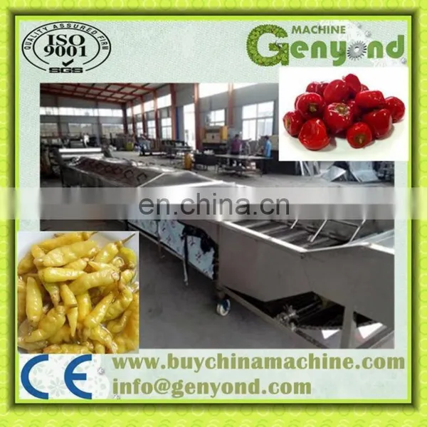 Stainless Steel Pickled Vegetable Production Line/making Machine/equipment photo-4