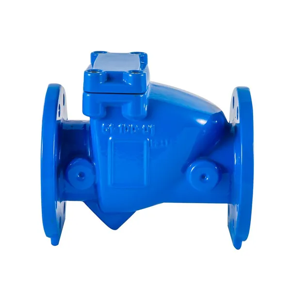 Flexible Rubber Flap Check Valve for Water and Wastewater Systems, DN50-DN2000, EPDM Material photo-5