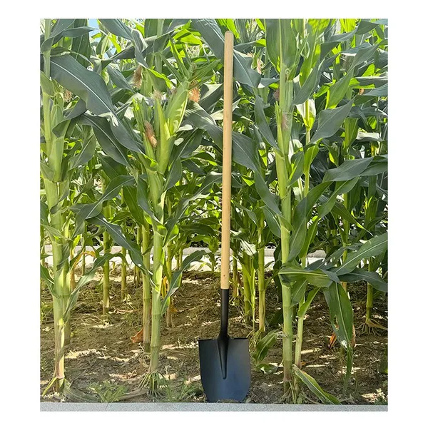 Garden Shovel Factory Supply for Wholesale Buyers in Africa Private Label Supply for Planting Digging and Rural Farm Use photo-5