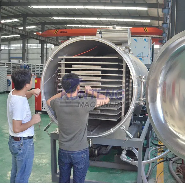 Low Temperature Strawberry Apple Durian Beef Whey Powder Milk Freeze Dryer EPC photo-2