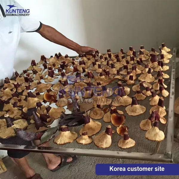 Energy Saving Mushroom Agaricus Bisporus Oyster Fungi Agrocybe Aegerita Drying Machine EPC photo-4