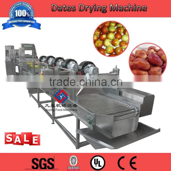 Factory Directly Supply Fruit & Vegetable Cutting Machinery photo-4