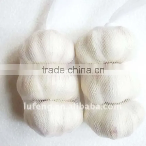 Pure White Garlic photo-4