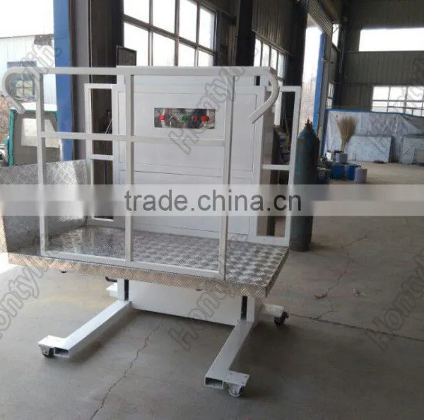 Outdoor electric wheelchair lift small elevator for homes with no rust ce price