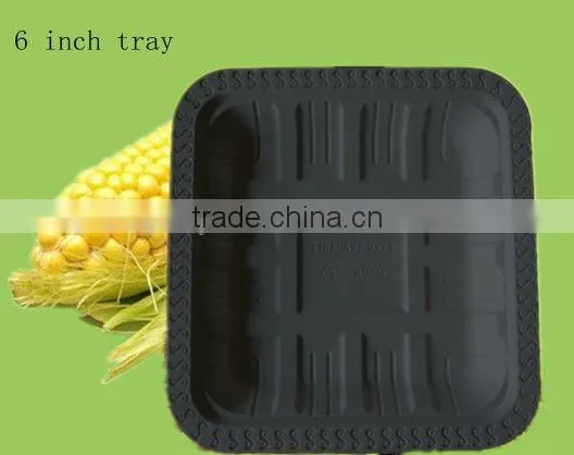 6 Inch Biodegradable Disposable Food Trays Quality Choice