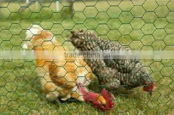Lowest Price Chicken Wire Mesh/chicken Wire Price/lowes Chicken Wire Mesh Roll photo-2