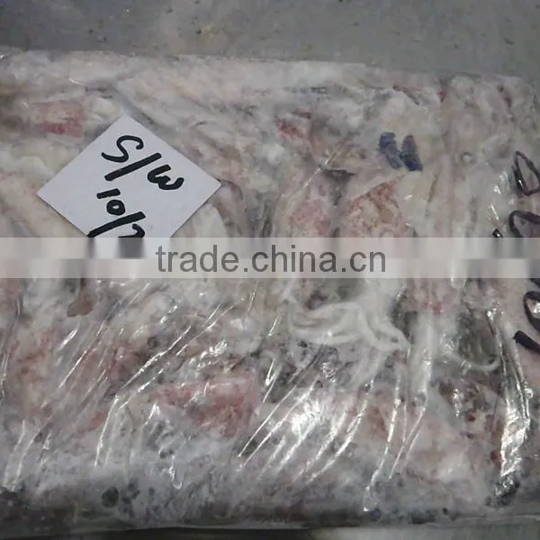 FROZEN SQUID WHOLE