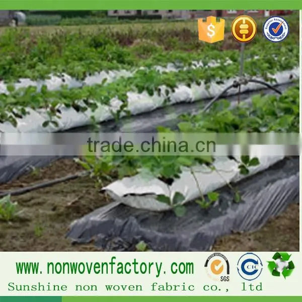 Polypropylene pp Non Woven Anti Weed Fabric uv Resistant Nonwoven