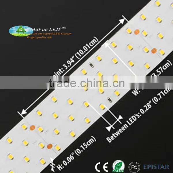 Best LED Strip Manufacturer High Quality 2700-12000 Cct Led Strip for USA Market photo-4