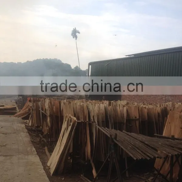 Core Veneer Hot 2015