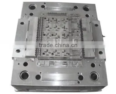 Mold/mould