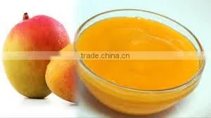 MANGO PULP EXPORTER