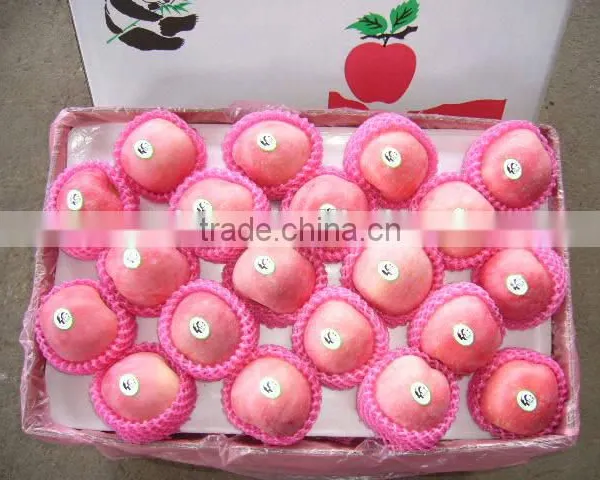 2016 New Season Fuji Apple Fruit photo-2