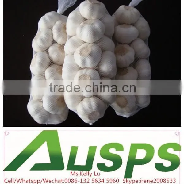Garlic Price in China photo-4