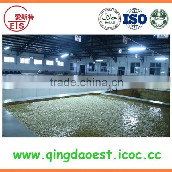 China Fresh Garlic in Brine With Peeled Garlic photo-3