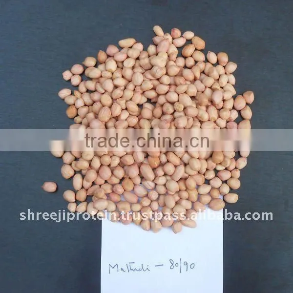 Peanut Kernel