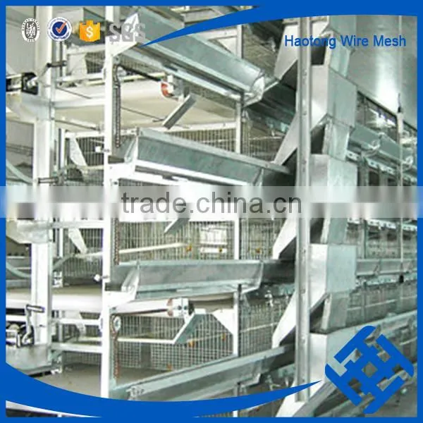 H Type Best Price Poultry Farm Egg Layer Chicken Cage photo-5