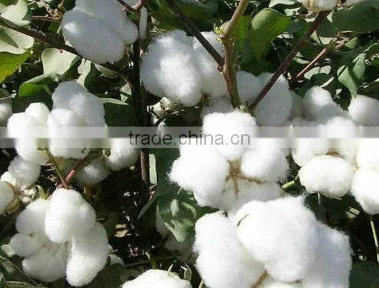 Strong Washing Line 100% Cutton 4 Strands Twisted Rope 10M photo-2