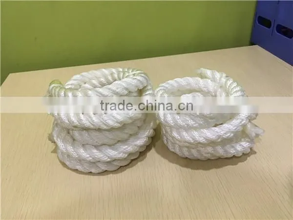 Supplier of High Strength Polyester Rope Made in Linyi photo-5